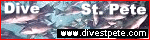 Dive St. Pete
