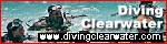 Diving Clearwater